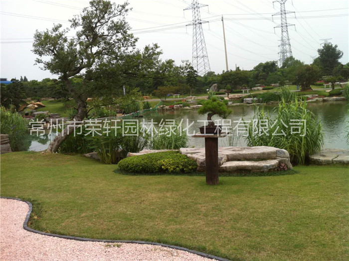 常州榮軒園林綠化養(yǎng)護的服務標準和方案